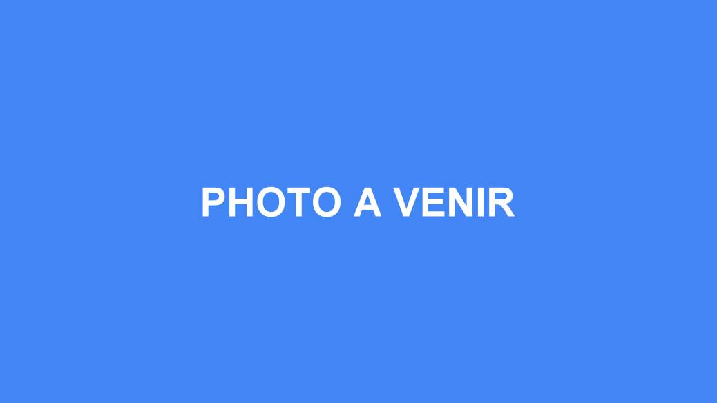Vanessa Sabourin : conciergerie Parthenay et guide local